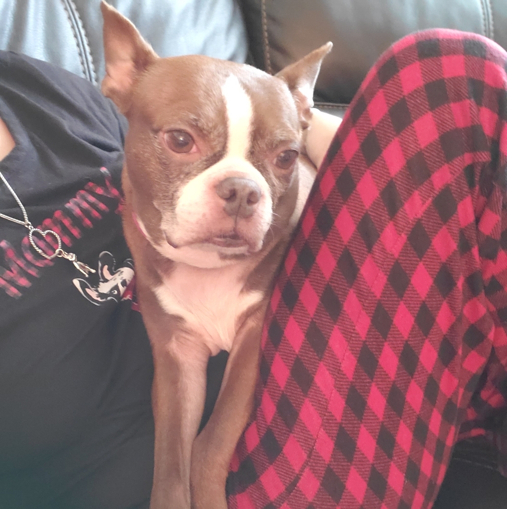 Meet your Posher, Negeen